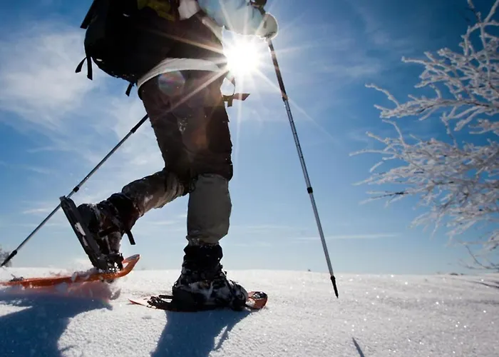 Le Ginestre Apartment